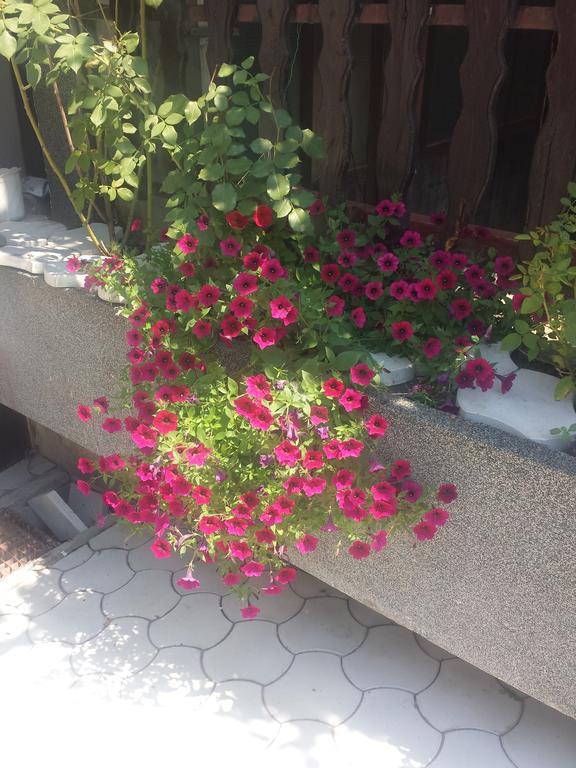 Apartment A&D Pančevo Buitenkant foto