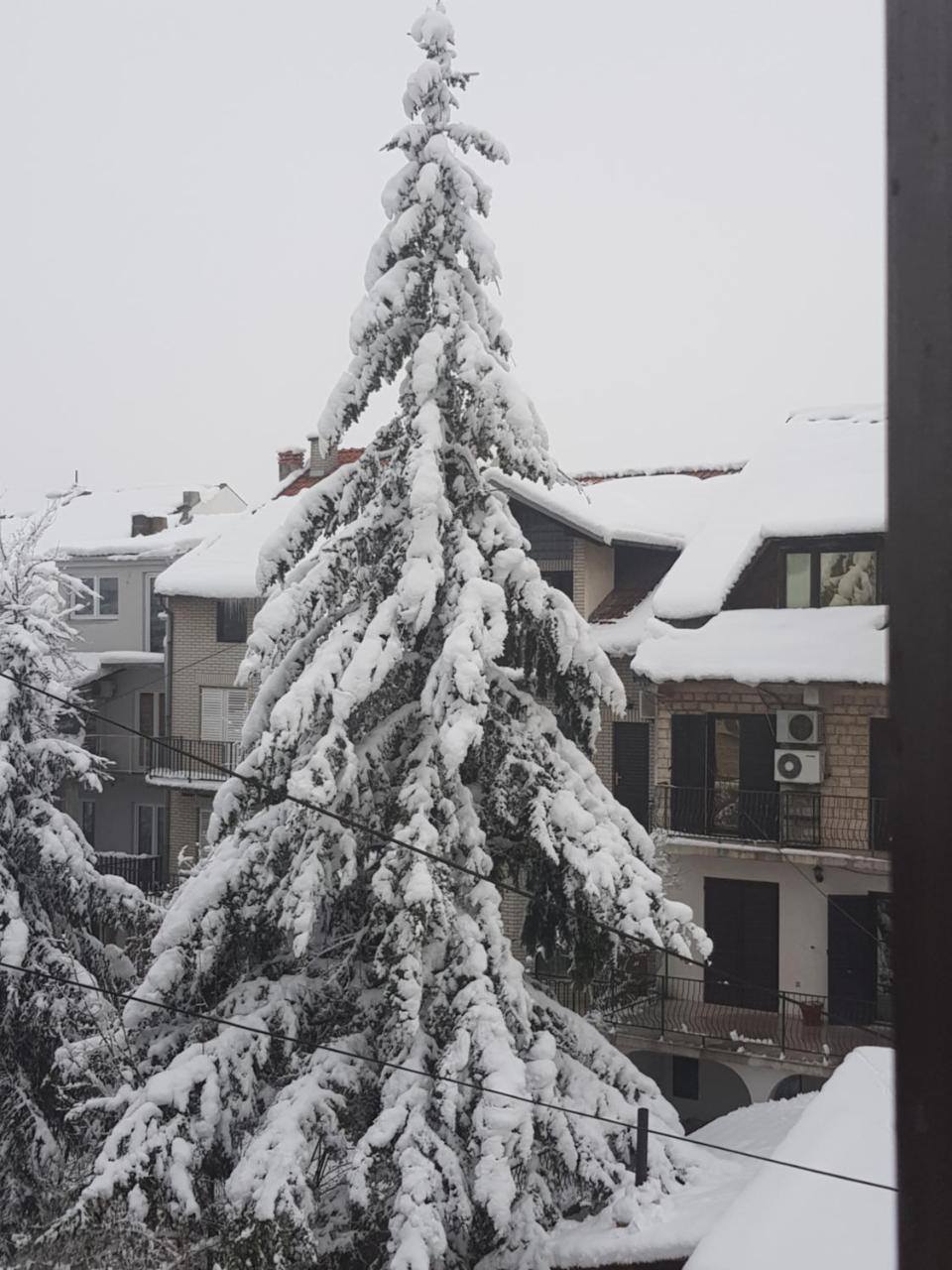 Apartment A&D Pančevo Buitenkant foto